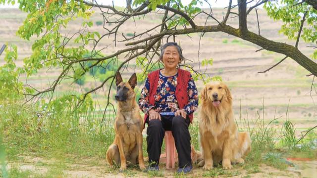 4年，90后小伙记录下100多位乡村老人的笑脸