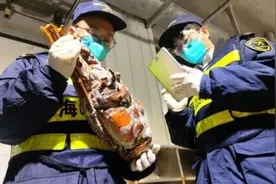 文莱进口锦绣龙虾首次“登陆”上海图片