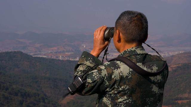 8年守塔瞭望 只为青山满眼绿