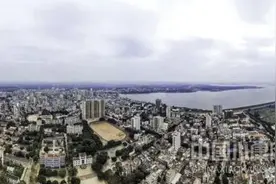 雷州龙门：高质量发展做大做强“新龙门”图片