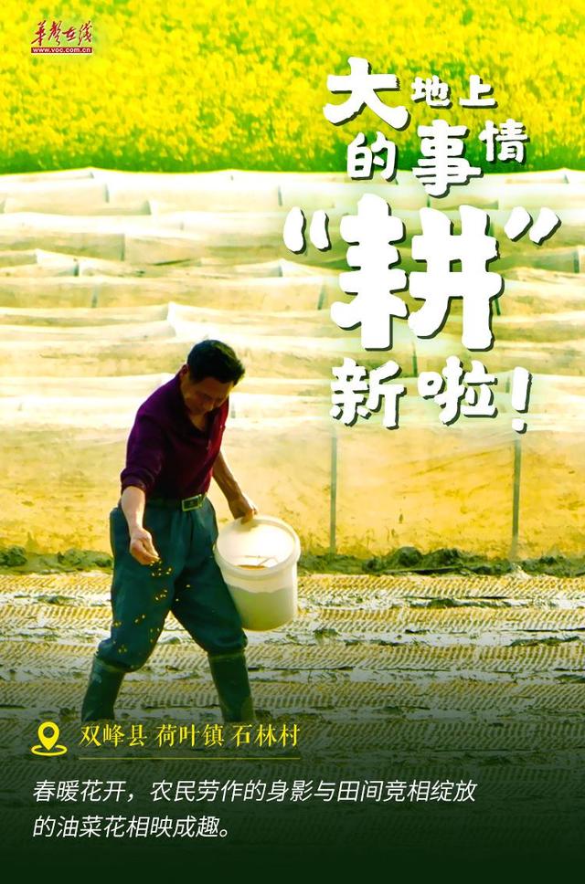 【海报】大地上的事情，“耕”新啦！