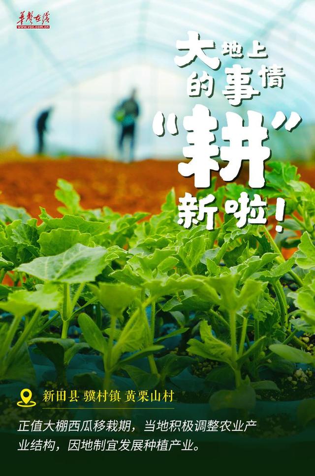 【海报】大地上的事情，“耕”新啦！