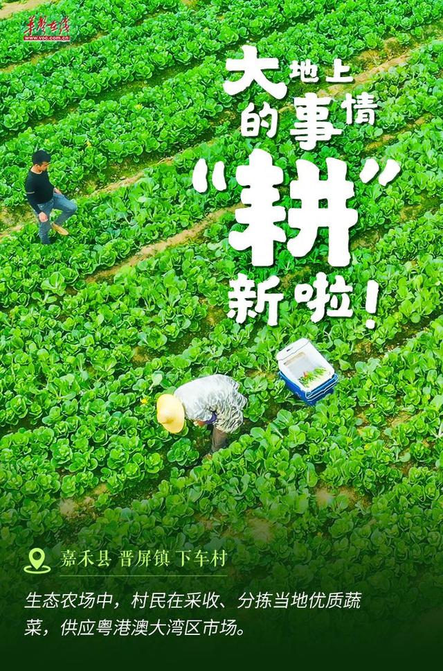【海报】大地上的事情，“耕”新啦！