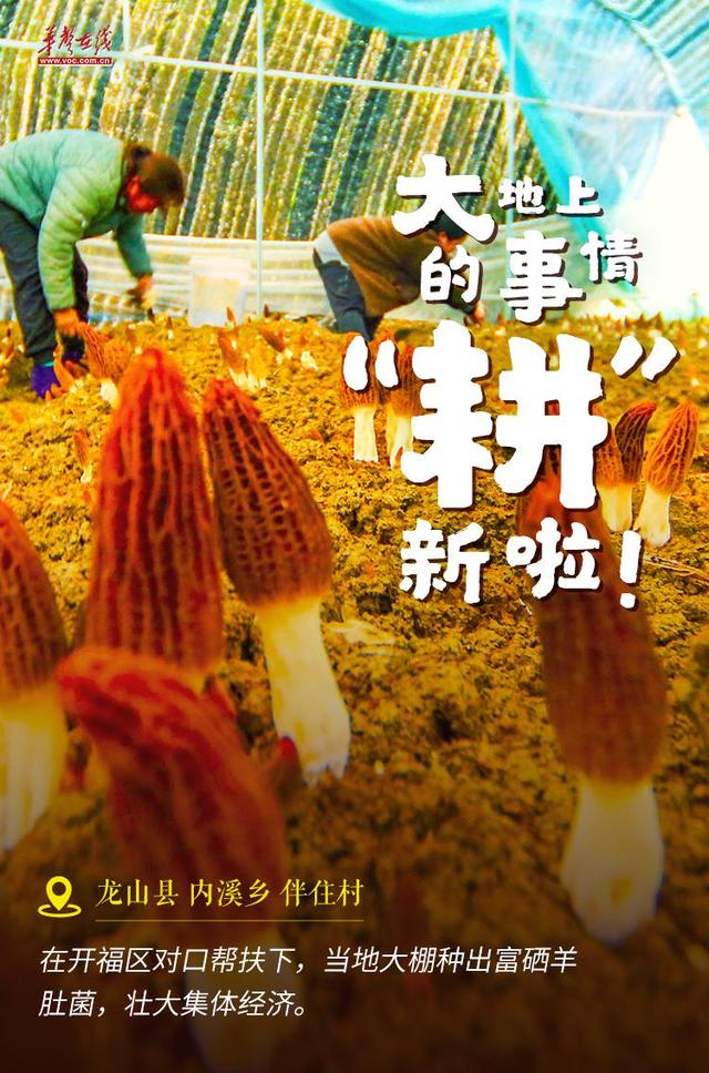 【海报】大地上的事情，“耕”新啦！