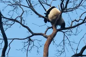 世界睡眠日：愿你今晚好梦图片