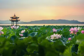 当夏至遇上黄梅天，该如何养生？医生建议：不妨多吃点“苦”图片