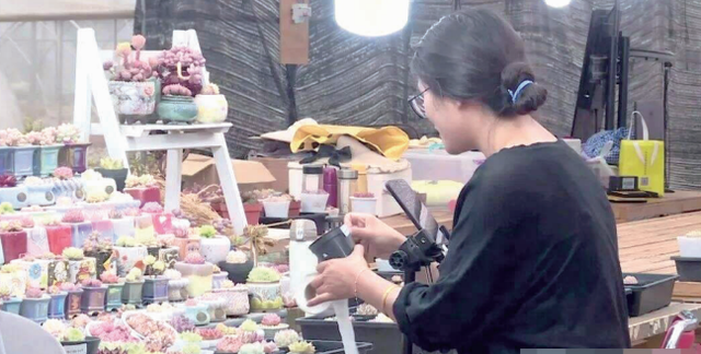 必须赞！天安门广场和长安街布景花卉来自云南