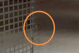 三月就有蚊子？专家：天气暖得早，“越冬蚊”苏醒了图片