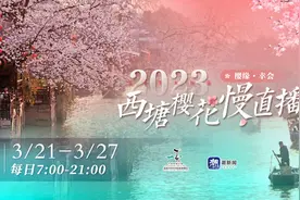 直播预告｜邂逅“水与樱花”的浪漫之约，今天下午两点半中亚新人在西塘体验水上婚礼图片