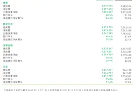 众安在线2022年净亏13.56亿元 健康、数字生活生态保费贡献度最高图片