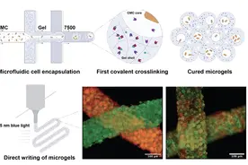 摔碎的手机屏能像皮肤一样实现自我修复？真的可以有！图片