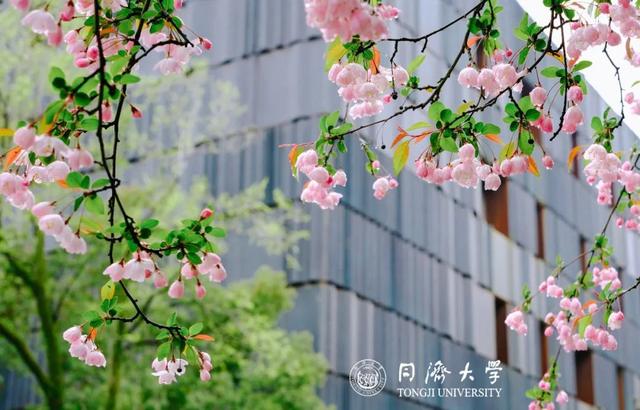 治疗肥胖有啥新路径？南极底层水变化对气候有何影响？……同济团队给你答案