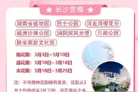 2023湖南樱花花期预报图片