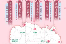 2023年湖南樱花花期预报图片