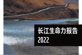 长江生命力报告2022｜陈进：长江流域生命力指数上升图片