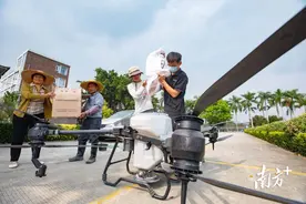 种子穿上“除虫衣”！白云区无人机水稻直播引入新技术图片