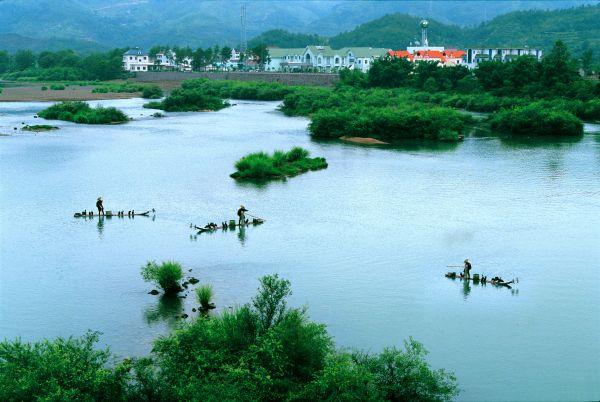【大国基理】浙江仙居：探寻乡村旅游的“共富密码”