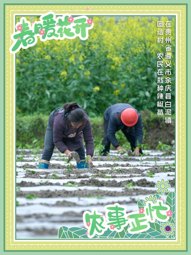 海报丨春暖花开 农事正忙