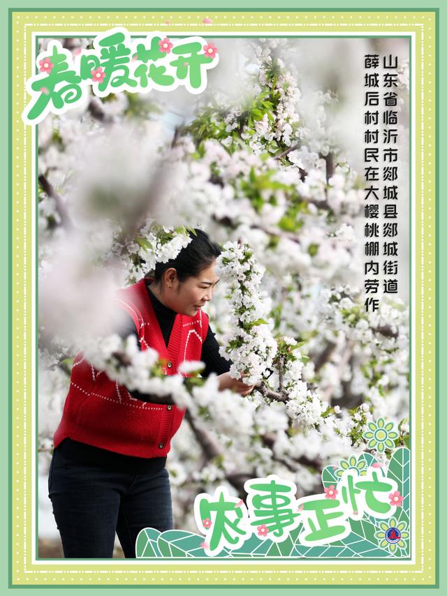 海报丨春暖花开 农事正忙