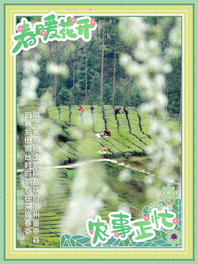 海报丨春暖花开 农事正忙
