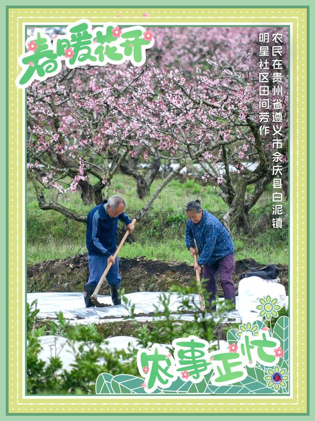 海报丨春暖花开 农事正忙