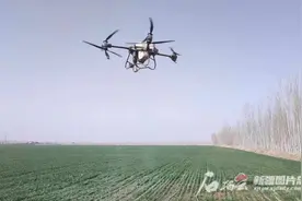 无人机施药 6分钟可喷洒20亩麦苗图片