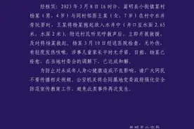 云南警方通报“女孩将小男孩扔入井中”调查情况图片