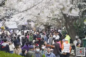 早安武汉｜暴涨超10倍！提前2个月疯抢……图片