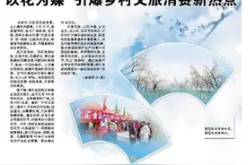 以花为媒 引爆乡村文旅消费新热点图片