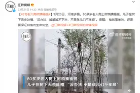 80多岁老太爬树摘榆钱 喊都喊不下来：儿子在树下很无奈！图片