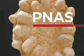 曾“称霸”地球1.7亿年的恐龙为何突然消失？科学家有新发现！图片