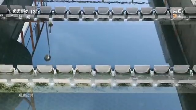 焦点访谈丨治理超采 保护水资源