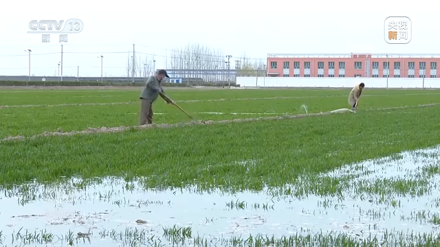 焦点访谈丨治理超采 保护水资源
