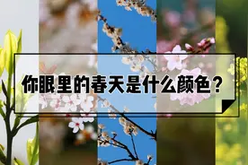【发现春之美】你眼里的春天是什么颜色？图片