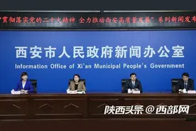 推动猿人遗址、荞麦花海景区提档升级 2023年蓝田力争实现旅游综合收入90亿元图片