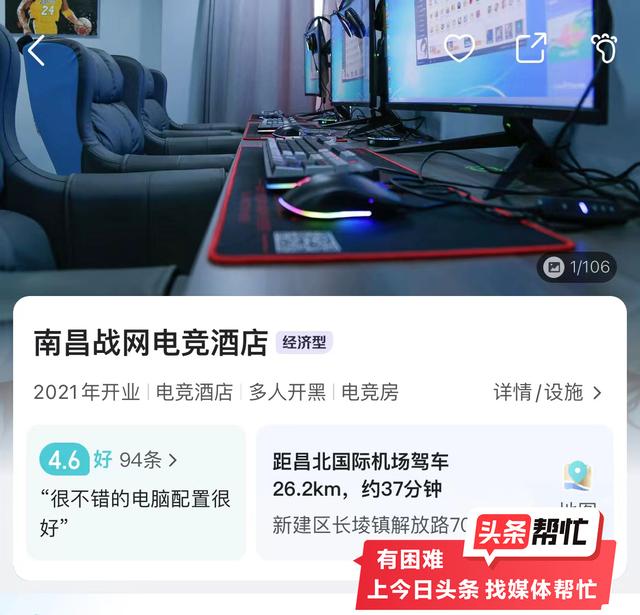 晨意帮忙丨人麻了！男子入住江西一酒店发现枕头下一窝老鼠幼崽，回应：一直在道歉