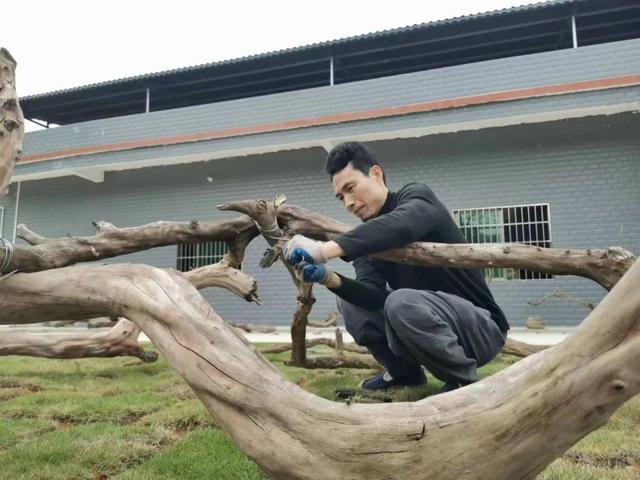 翁城日记 131