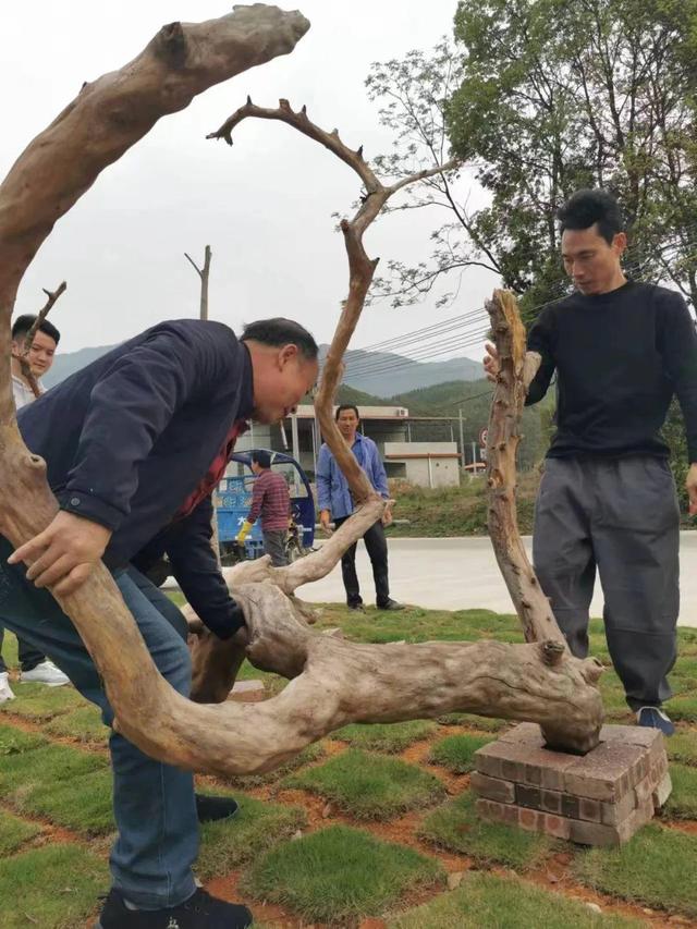 翁城日记 131