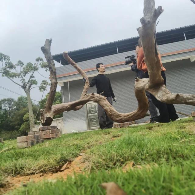 翁城日记 131