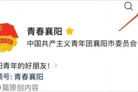 高考成绩公布！襄阳学子太厉害了！一届高考，两对“双子星”！图片