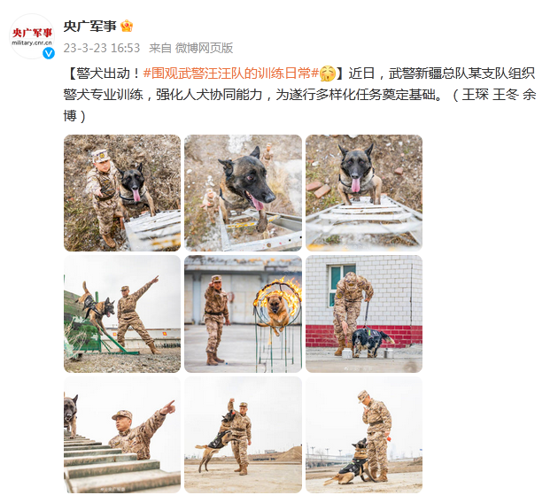 警犬出动！围观武警汪汪队的训练日常