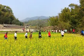 永安：“赏花经济”助力乡村振兴图片