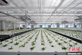 沈阳新民市降低区域要素成本 为民营企业打造更优生态环境图片