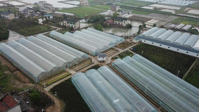 （新华全媒+）科技育苗助力春耕生产