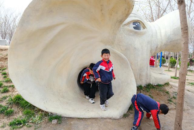 （社会）河南西裴村：绘就乡村振兴的美丽画卷
