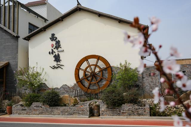 （社会）河南西裴村：绘就乡村振兴的美丽画卷