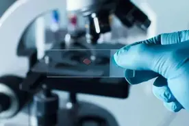 【“人民”攻略】检验科也有门诊？你想知道的都在这里！图片