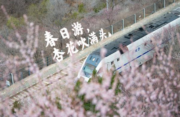 登上列车 驶入春天