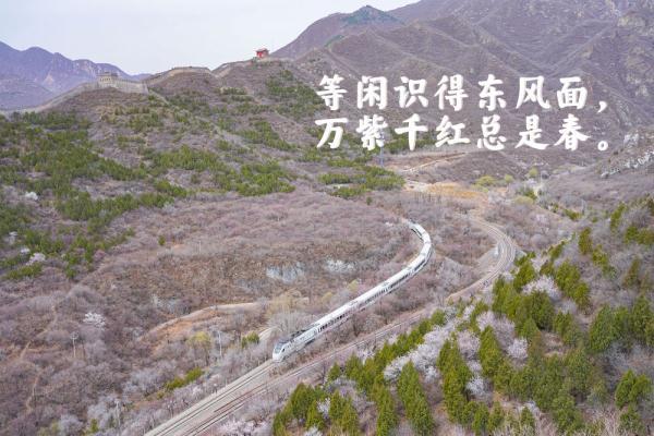 登上列车 驶入春天