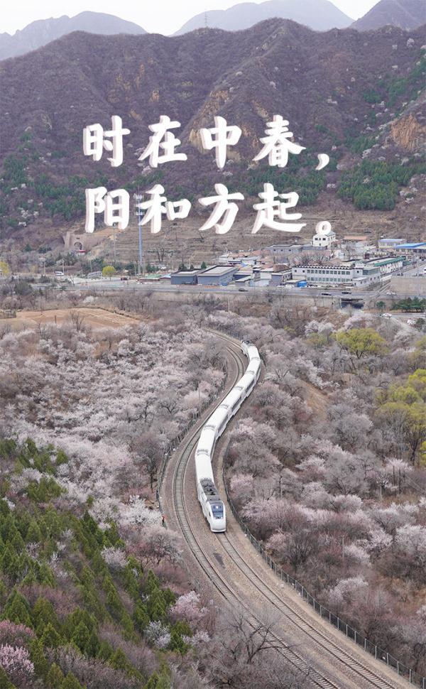 登上列车 驶入春天